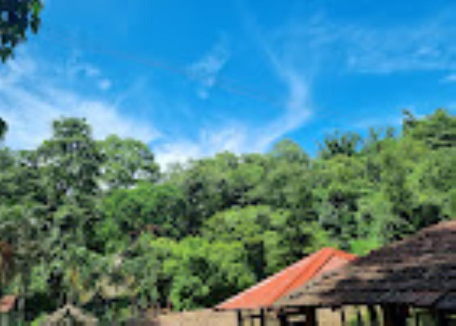 Brahmaputra Jungle Resort Guváhátí Exteriér fotografie