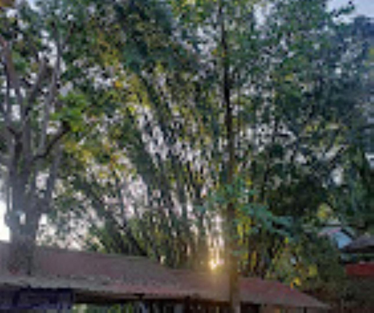 Brahmaputra Jungle Resort Guváhátí Exteriér fotografie