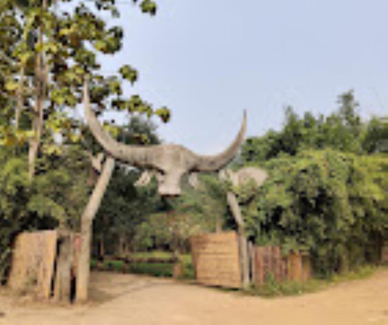 Brahmaputra Jungle Resort Guváhátí Exteriér fotografie