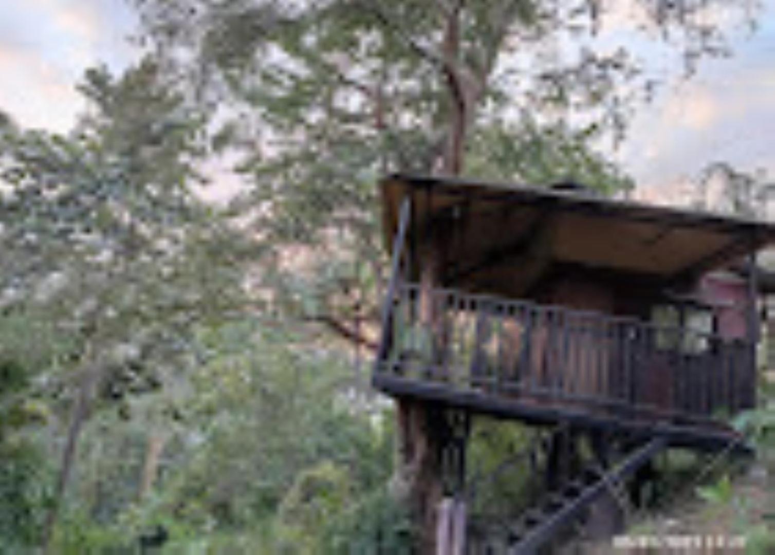 Brahmaputra Jungle Resort Guváhátí Exteriér fotografie