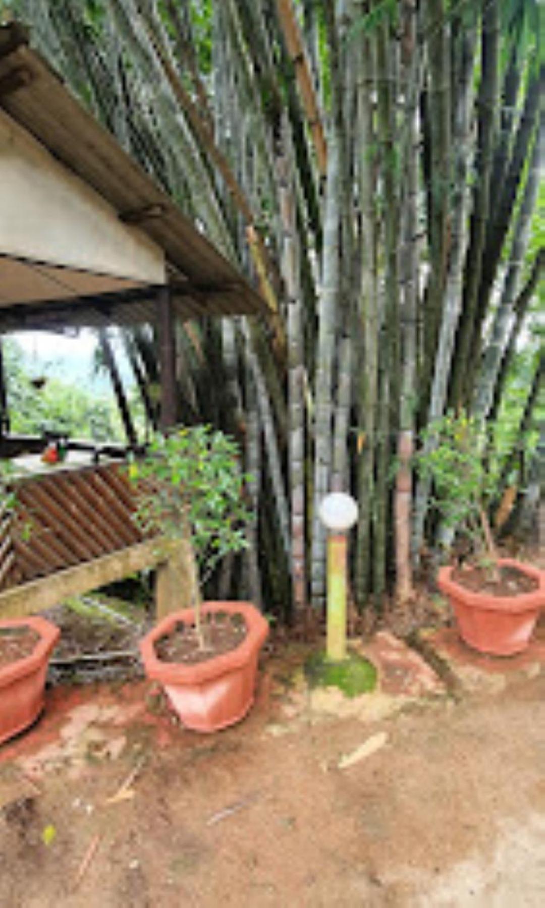 Brahmaputra Jungle Resort Guváhátí Exteriér fotografie