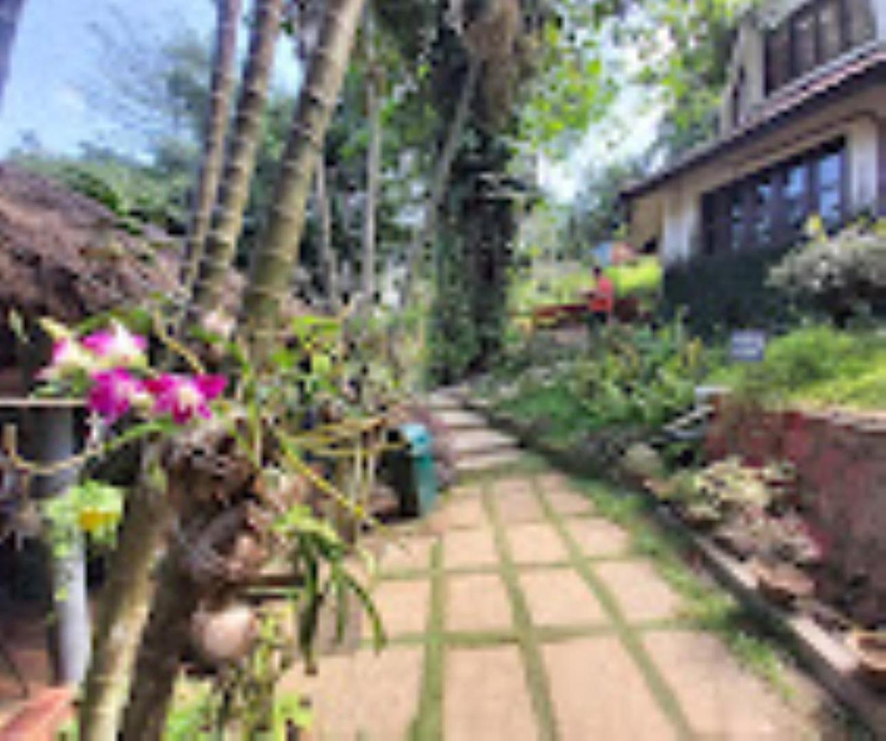 Brahmaputra Jungle Resort Guváhátí Exteriér fotografie