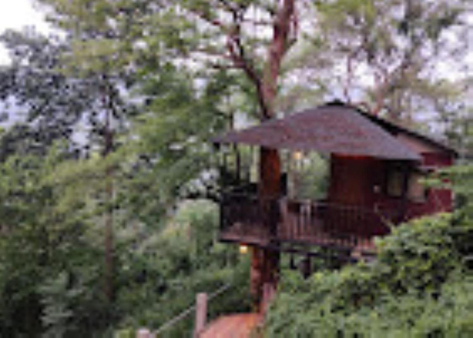Brahmaputra Jungle Resort Guváhátí Exteriér fotografie